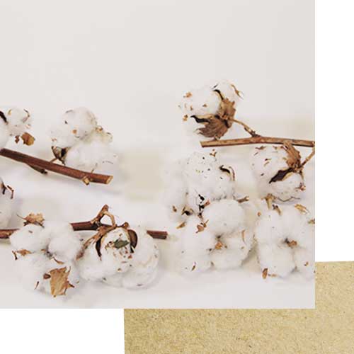 coton-biologique-mouchoir-tissu coton biologique - mouchoirs lavables