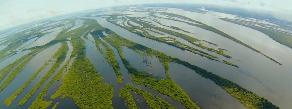 amazonie réveil de florestania